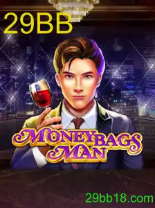MoneybagsMan